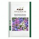 Mixed Wooden Hyacinths Spanish Hyacinths - 100 PCS Seeds