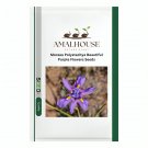 Moraea Polystachya Beautiful Purple Flowers - 5 PCS Seeds