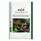 Moss Live Aquatic Plants Aquarium Water Grass Bonsai Flower - 200 PCS Seeds