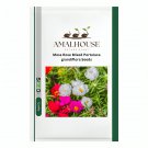 Moss Rose Mixed Portulaca grandiflora - 500 PCS Seeds