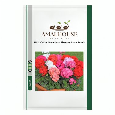 MUL Color Geranium Flowers Rare - 100 PCS Seeds