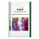 Multicolored Gladiolus Flower - 120 PCS Seeds