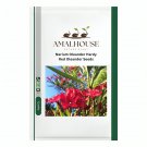 Nerium Oleander Hardy Red Oleander - 30 PCS Seeds