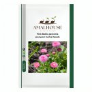 Pink Bellis perennis pompom herbal - 30 PCS Seeds