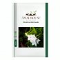 Nicotiana Alata - 200 PCS Seeds
