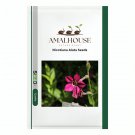 Nicotiana Alata - 200 PCS Seeds