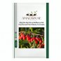 Ning Xia Goji Berry Wolfberry Red Fruit Se eed Plant Beauty Tea - 100 PCS Seeds