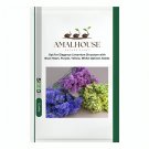Opt for Elegance Limonium Sinuatum with Blue Heart, Purple, Yellow, White Options - 300 PCS Seeds