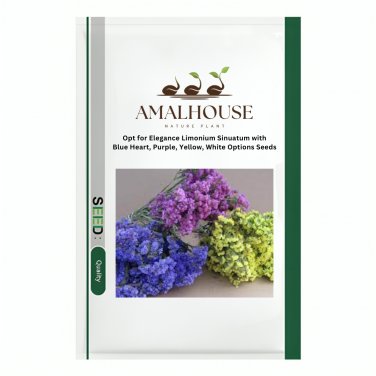 Opt for Elegance Limonium Sinuatum with Blue Heart, Purple, Yellow, White Options - 300 PCS Seeds