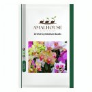 Orchid Cymbidium - 100 PCS Seeds