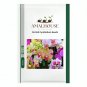 Orchid Cymbidium - 100 PCS Seeds