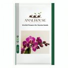 Orchid Flowers for Rooms - 200 PCS Seeds
