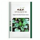 Organic Broadleaf Plantain - 100 PCS Seeds