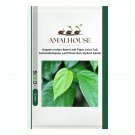 Organic Indian Betel Leaf Piper Lolot Tall Antioxidantpaan Leaf Plant Non-Hybrid - 50 PCS Seeds