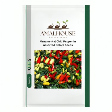 Ornamental Chili Pepper in Assorted Colors - 100 PCS Seeds