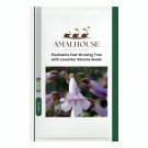 Paulownia Fast-Growing Tree with Lavender Blooms - 200 PCS Seeds
