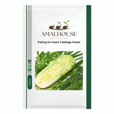 Peking Ox-heart Cabbage - 10 PCS Seeds