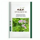 Pelargonium laxum Garden Plants - 5 PCS Seeds