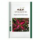 Penghuo Series Coleus  - 100 PCS Seeds