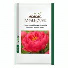 Peony 'Coral Sunset' Paeonia lactiflora Bonsai - 10 PCS Seeds