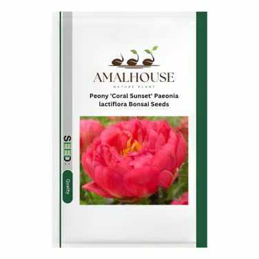 Peony 'Coral Sunset' Paeonia lactiflora Bonsai - 10 PCS Seeds