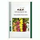 Peony Double Flowers - 20 PCS Seeds