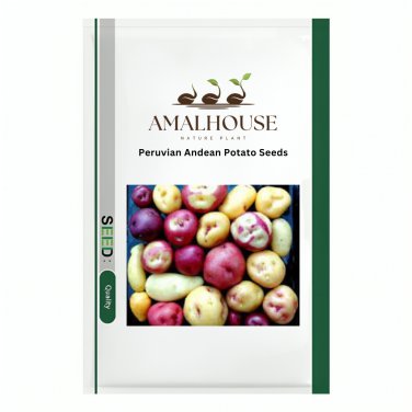 Peruvian Andean Potato - 4 PCS Seeds