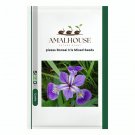 piezas Bonsai Iris Mixed - 100 PCS Seeds