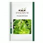 Pineapple Mint - 50 PCS Seeds