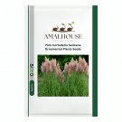 Pink Cortaderia Selloana Ornamental Plants - 100 PCS Seeds