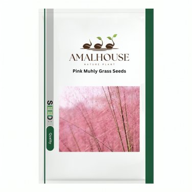 Pink Muhly Grass - 50 PCS Seeds