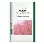 Pink Muhly Grass - 50 PCS Seeds
