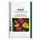 Portulaca Grandiflora Flower Mixed Flowers - 100 PCS Seeds