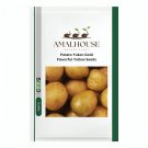 Potato Yukon Gold Flavorful Yellow - 150 PCS Seeds