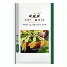 Potted Fly Trap Garden - 300 PCS Seeds