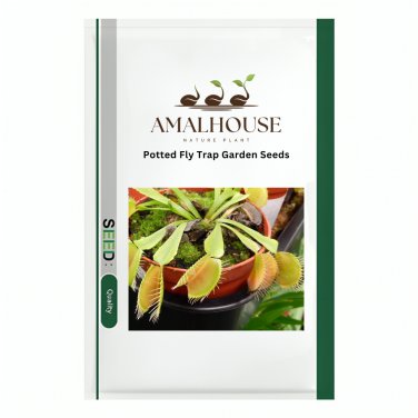 Potted Fly Trap Garden - 300 PCS Seeds