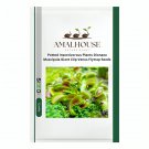 Potted Insectivorous Plants Dionaea Muscipula Giant Clip Venus Flytrap - 100 PCS Seeds