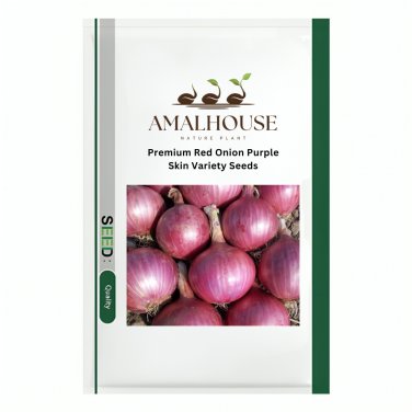 Premium Red Onion Purple Skin Variety - 500 PCS Seeds