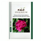 Princess Series Peony Medium-Sized Pink Double Blossoms - 20 PCS Seeds