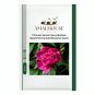 Princess Series Peony Medium-Sized Pink Double Blossoms - 20 PCS Seeds