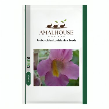 Proboscidea Louisianica - 3 PCS Seeds