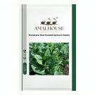 Prostrate Red Rooted Spinach - 5 PCS Seeds