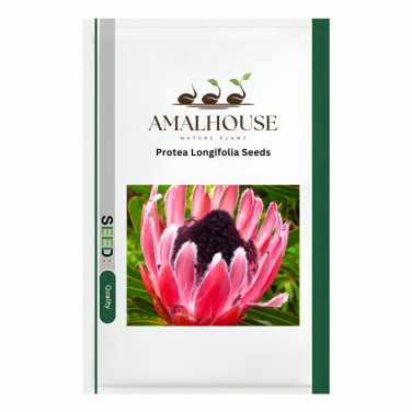 Protea Longifolia - 6 PCS Seeds