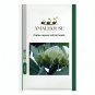 Protea repens (white) - 6 PCS Seeds