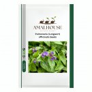 Pulmonaria (Lungwort) officinalis - 50 PCS Seeds