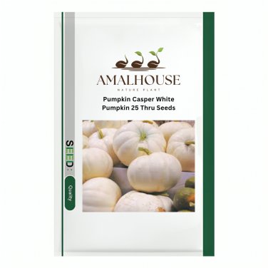 Pumpkin Casper White Pumpkin 25 Thru - 100 PCS Seeds