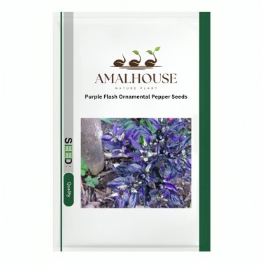 Purple Flash Ornamental Pepper - 100 PCS Seeds