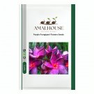 Purple Frangipani Flowers - 100 PCS Seeds