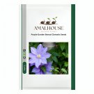 Purple Garden Bonsai Clematis - 100 PCS Seeds