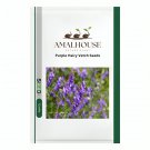 Purple Hairy Vetch - 100 PCS Seeds